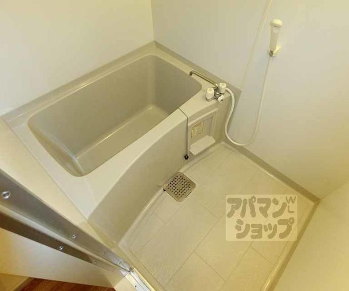 【グリーンコート】間取