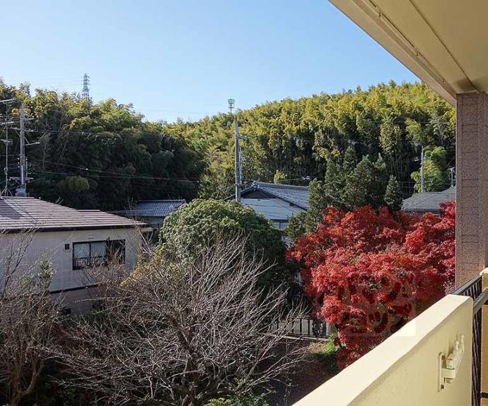 【ヴィラＰＩＰＡＳ】間取