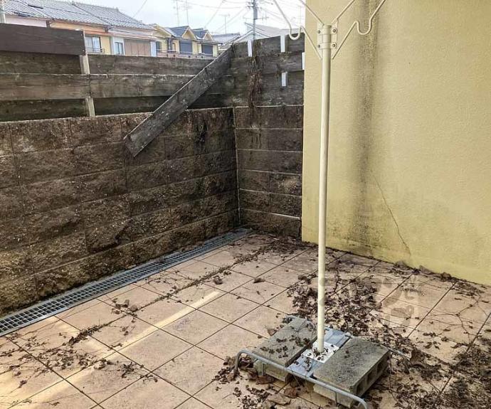 【ドマーニ】間取