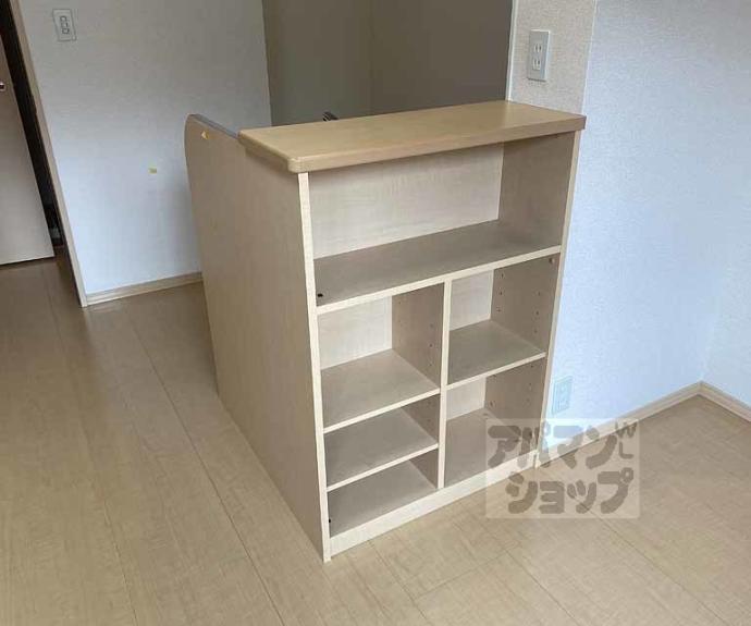 【アムール西桂】間取