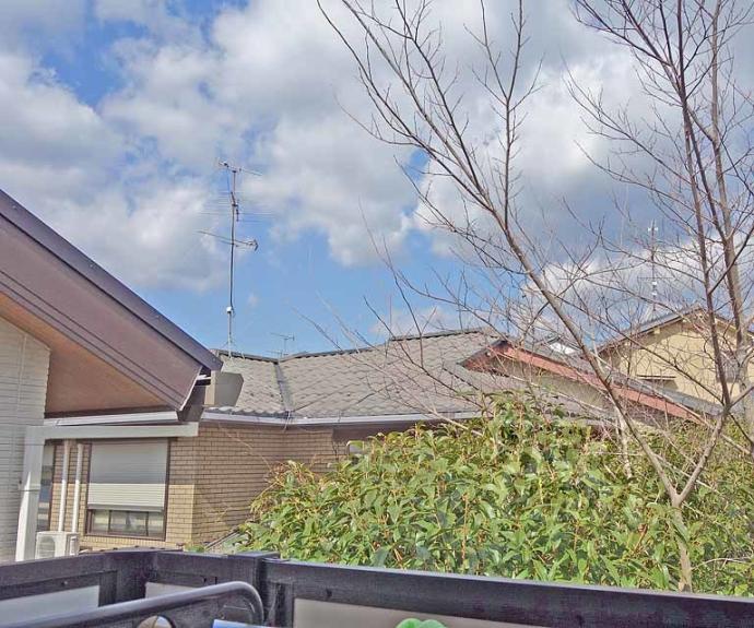 【アンシャンテ上桂】間取