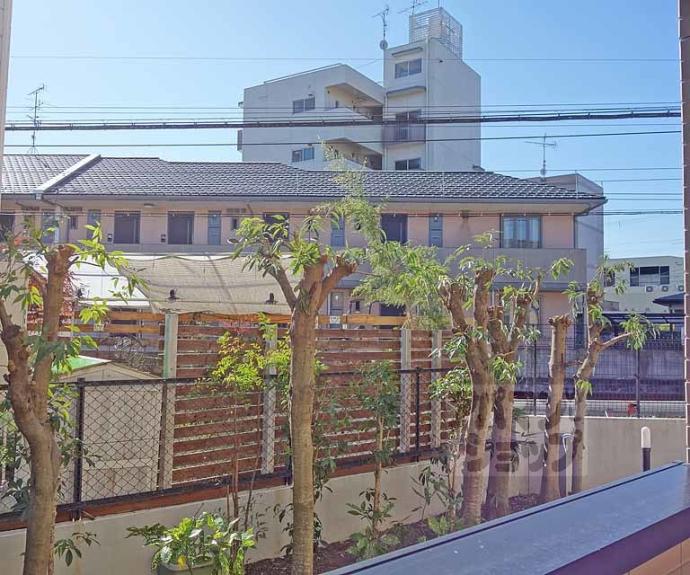 【サンライト上桂】間取