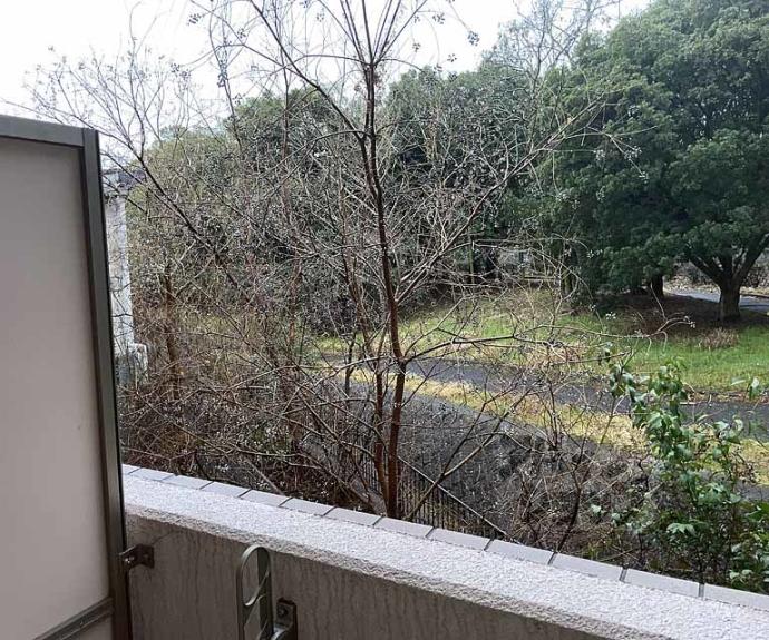 【シャルレ桂坂】間取