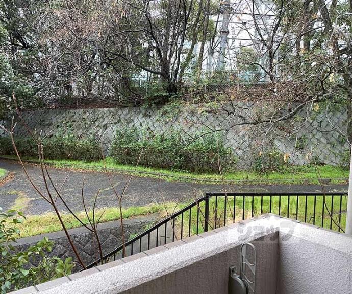 【シャルレ桂坂】間取