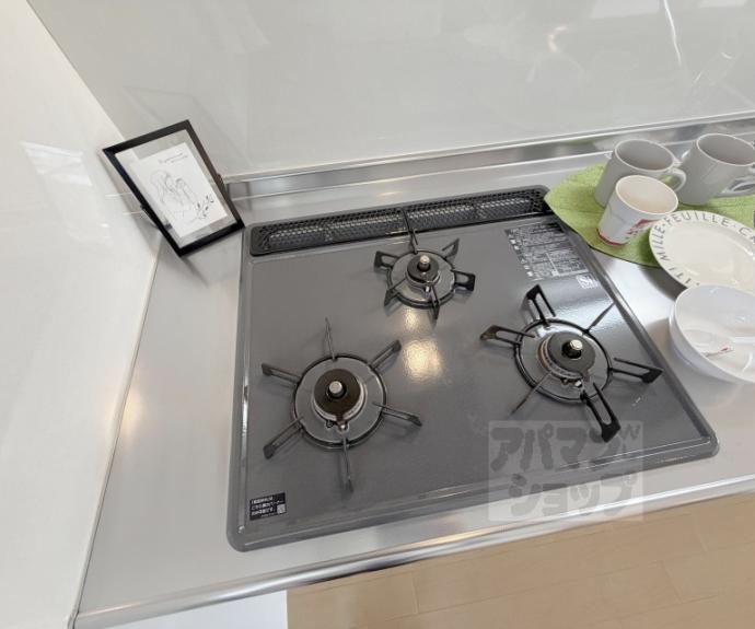 【嵐山リバーサイドⅡ】間取