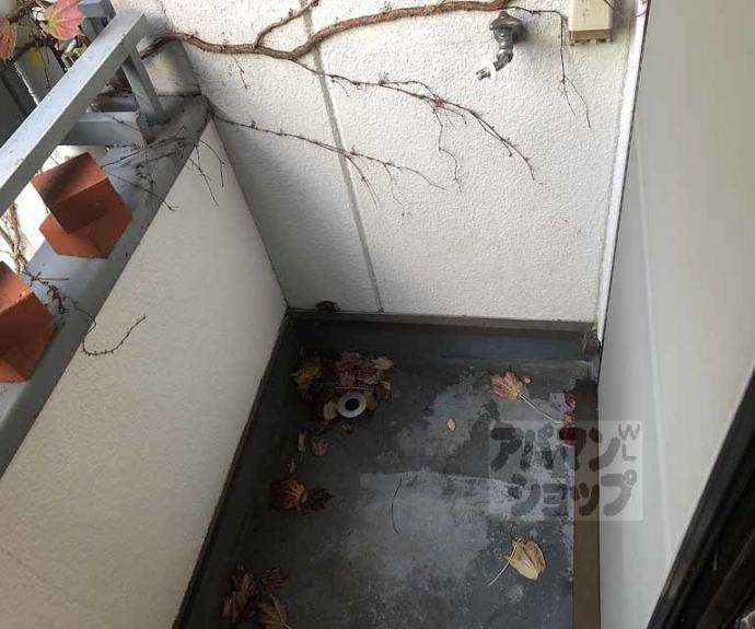 【ドリームカム桂】間取