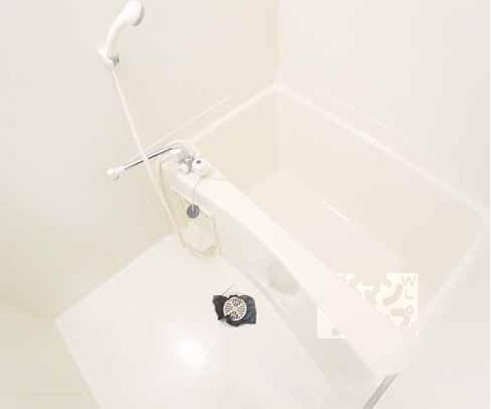 【本間御池ハイツ】間取