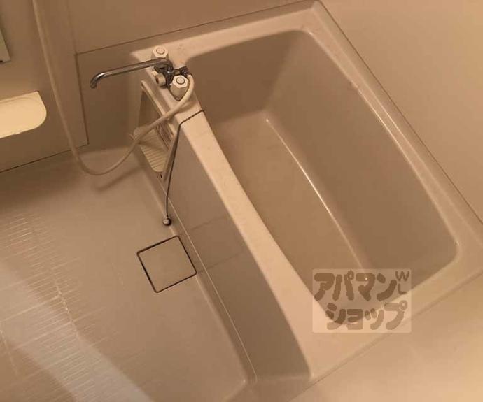 【メゾンかしの木】間取