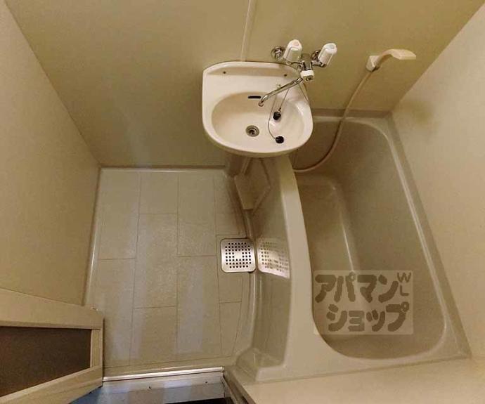 【アベリヤ竹澤】