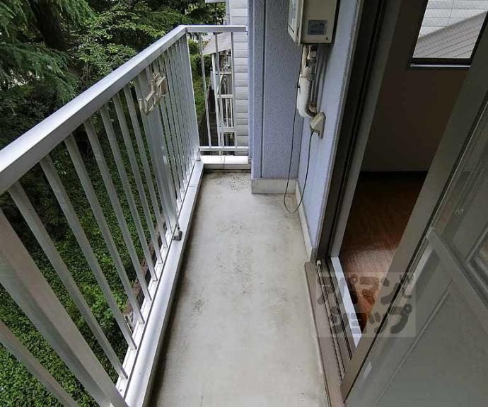 【アベリヤ竹澤】