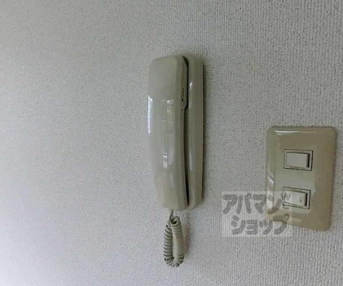 【アベリヤ竹澤】