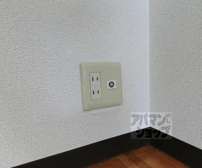 【アベリヤ竹澤】