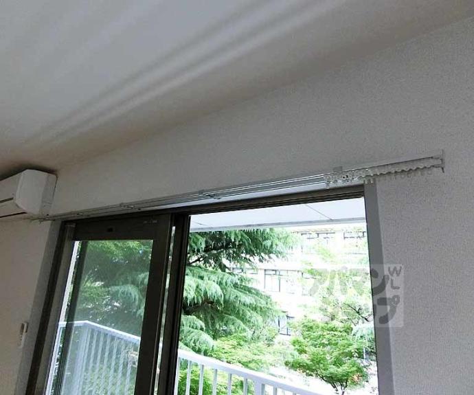 【アベリヤ竹澤】