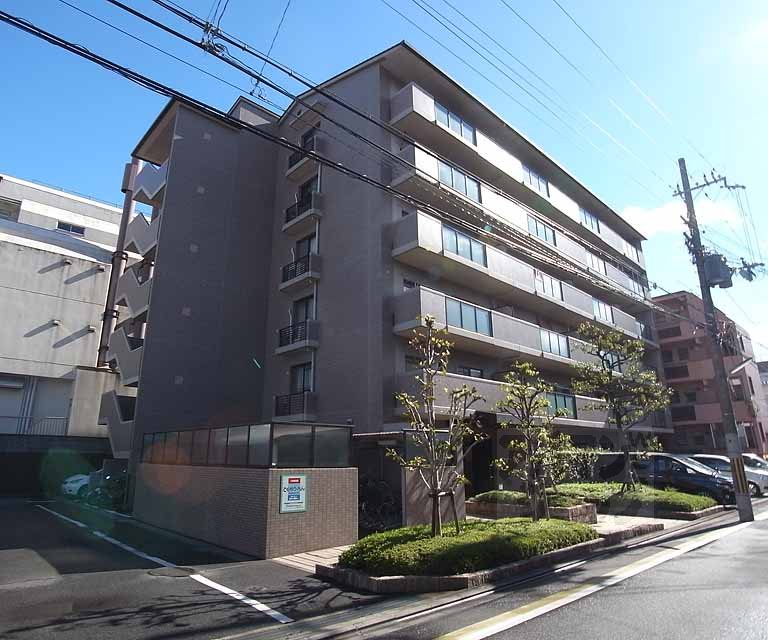 菜の花の街葛野