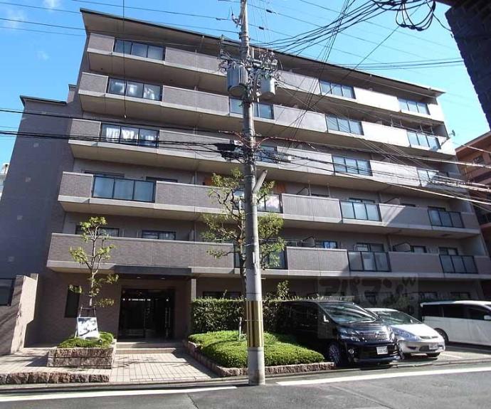 【菜の花の街葛野】間取