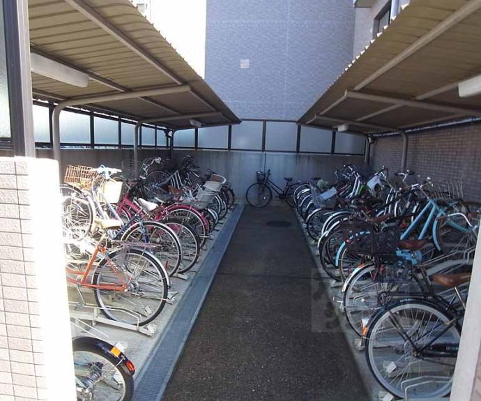 【菜の花の街葛野】間取