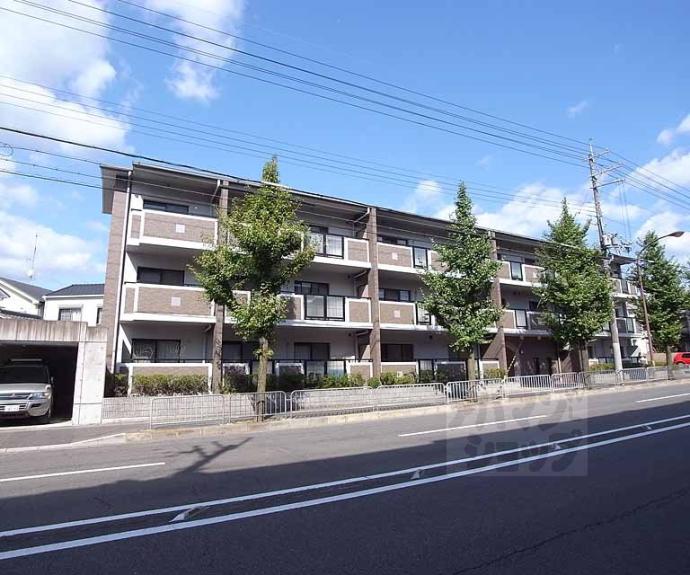 【セントラルヴィレッジ】間取