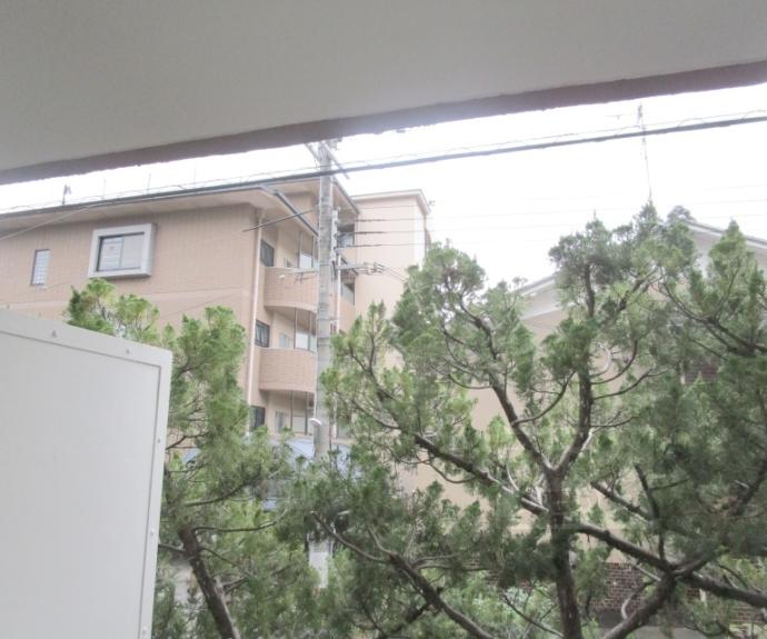 【西賀茂ハイツ】間取