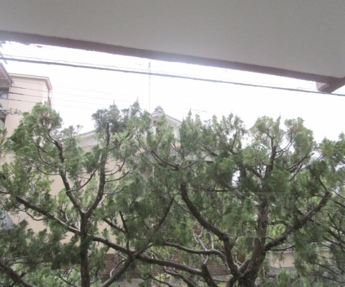 【西賀茂ハイツ】間取