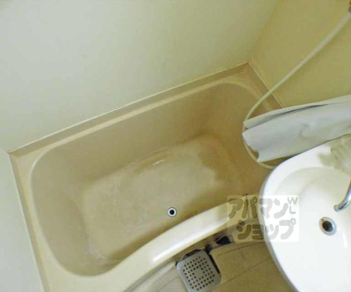 【メゾン・ラ・ココネ】間取