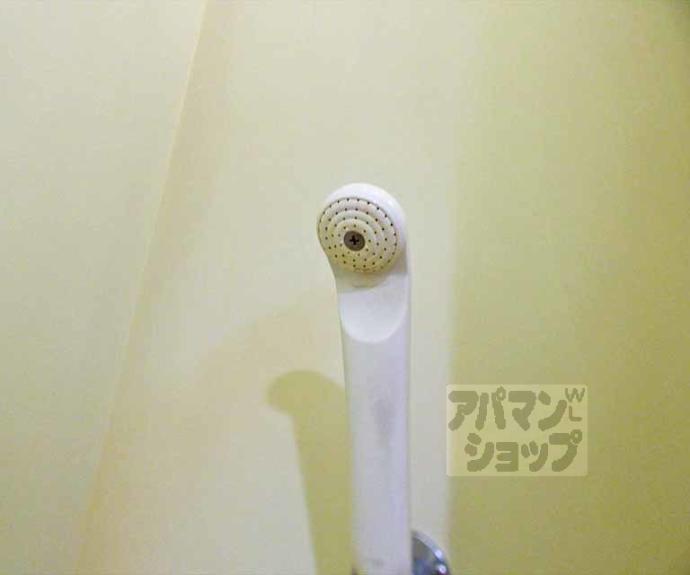 【メゾン・ラ・ココネ】間取