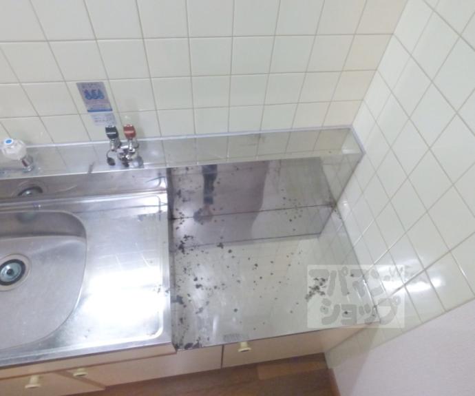 【銀頂ハイツＭＥ】間取