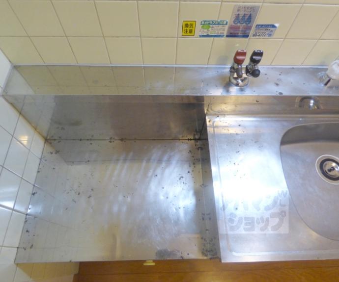 【銀頂ハイツＭＥ】間取