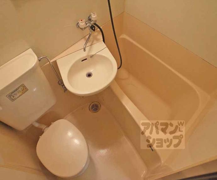 【ドミトリーアルバ】間取