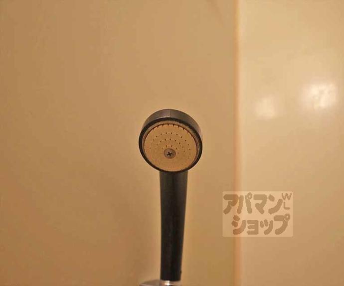 【ドミトリーアルバ】間取