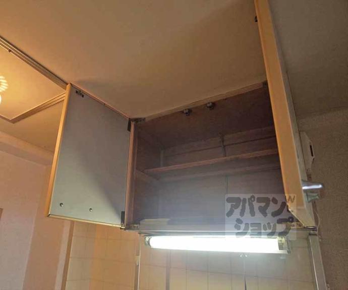 【ドミトリーアルバ】間取