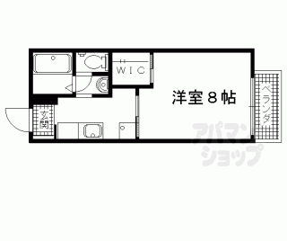 【ヴィヴァーチェ杉】