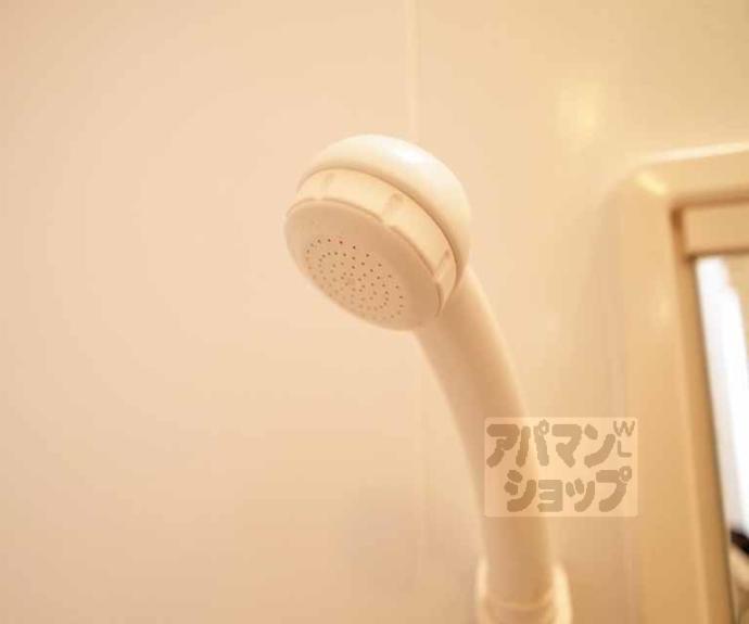 【ヴィヴァーチェ杉】間取