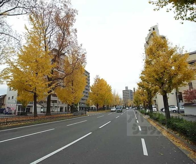 【プラザ堀川寺之内】間取