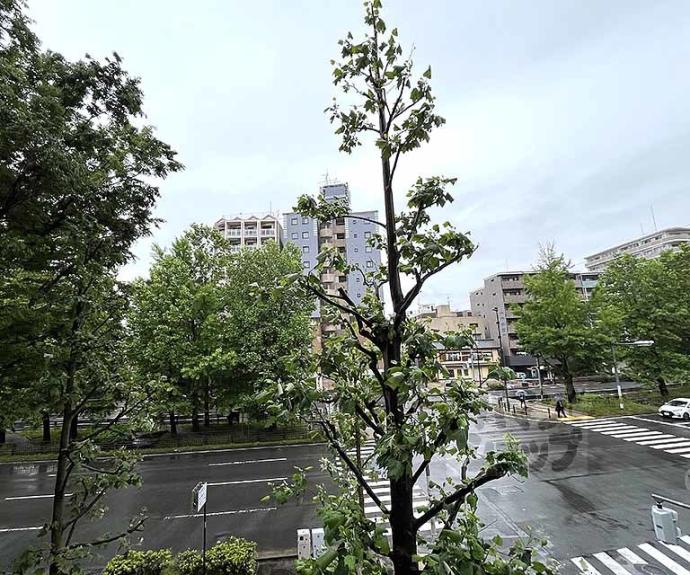 【プラザ堀川寺之内】間取