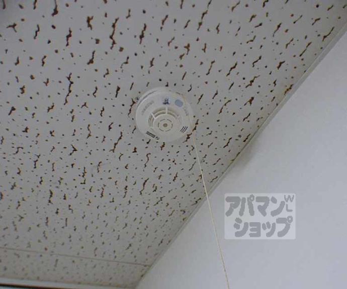 【北白川ロイヤルパレス】間取