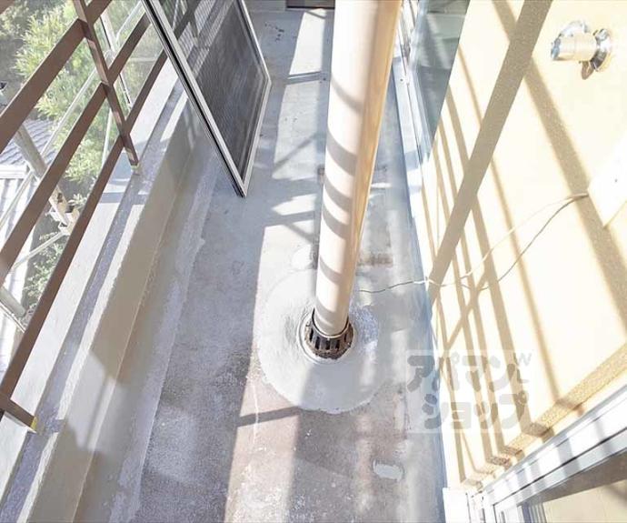 【ヴィラ岡崎】間取