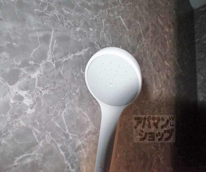 【ヴィラ岡崎】間取