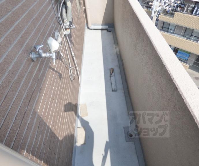 【アレックスⅦ】間取