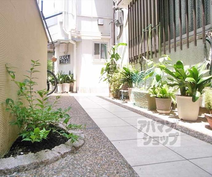 【ＣＡＳＡ　ＹＡＧＩ】