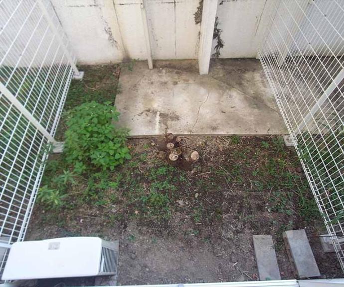 【ラフォーレ北白川】間取