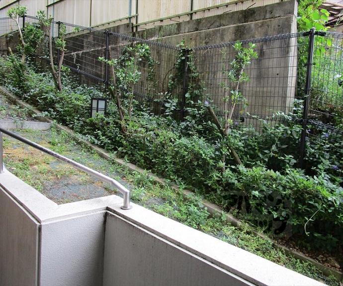 【ユニーブル京都紫野】間取