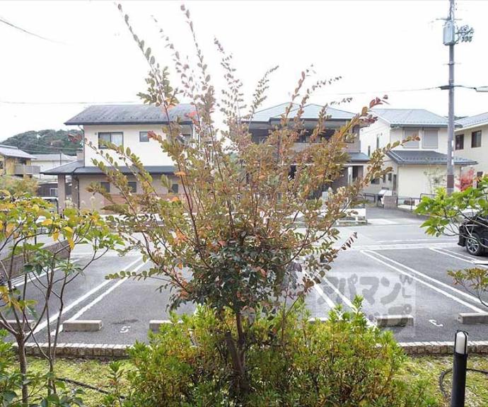 【アライブ　キノ】間取