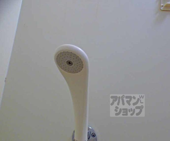 【サニースポット】間取
