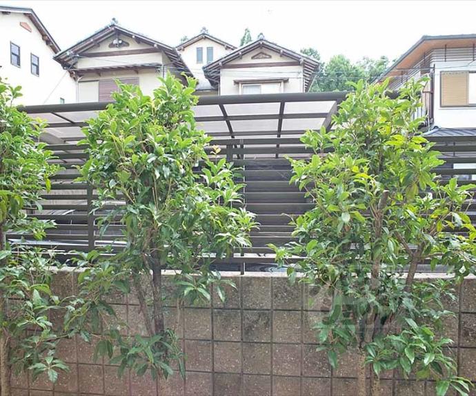 【ウィステリア壱番館】間取