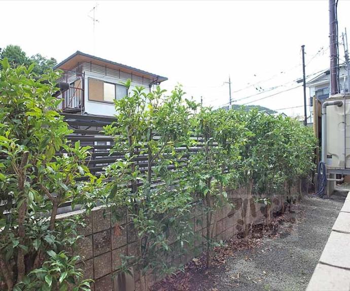 【ウィステリア壱番館】間取