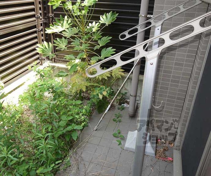 【エイペックス京都東山三条】間取