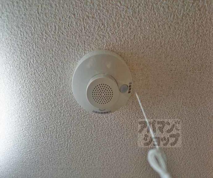 【東丸太町マンション】間取