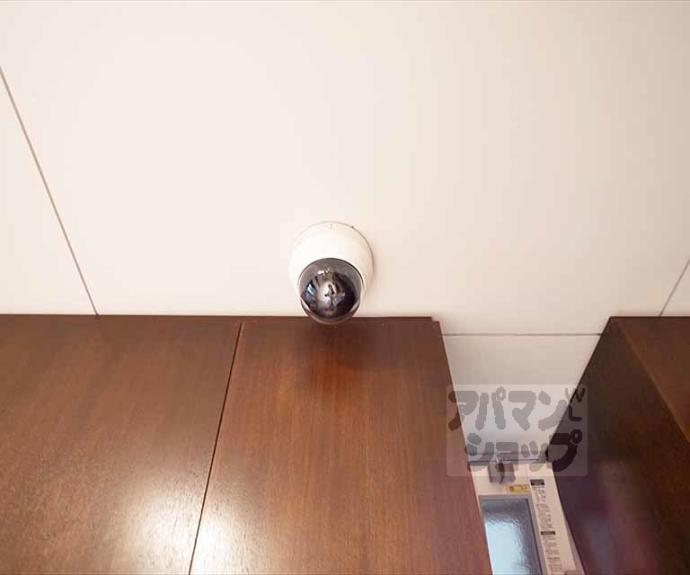 【ｐｉｅｎｉ　ｐｅｓａ】間取