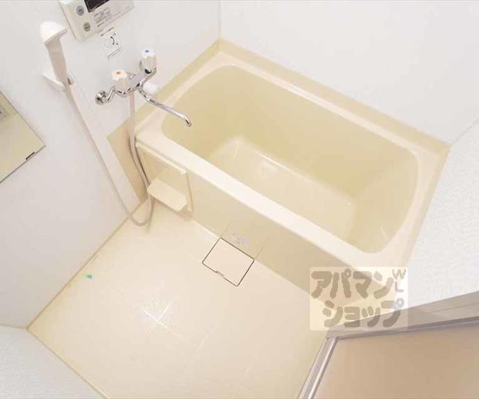 【ｐｉｅｎｉ　ｐｅｓａ】間取