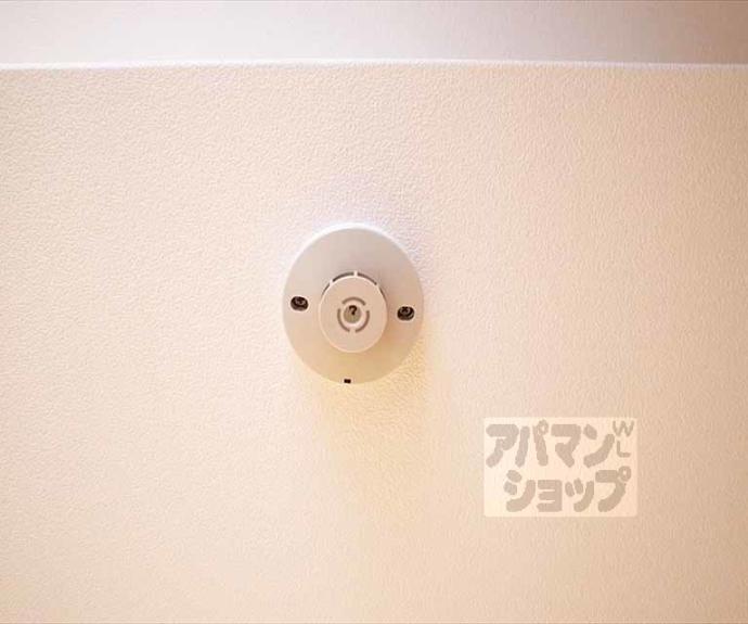 【ｐｉｅｎｉ　ｐｅｓａ】間取